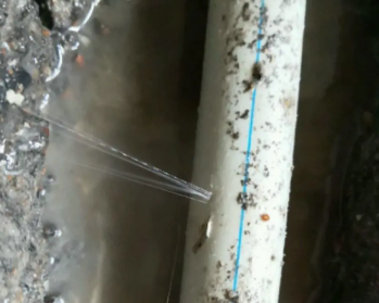 兴化卫生间测漏水多少钱
